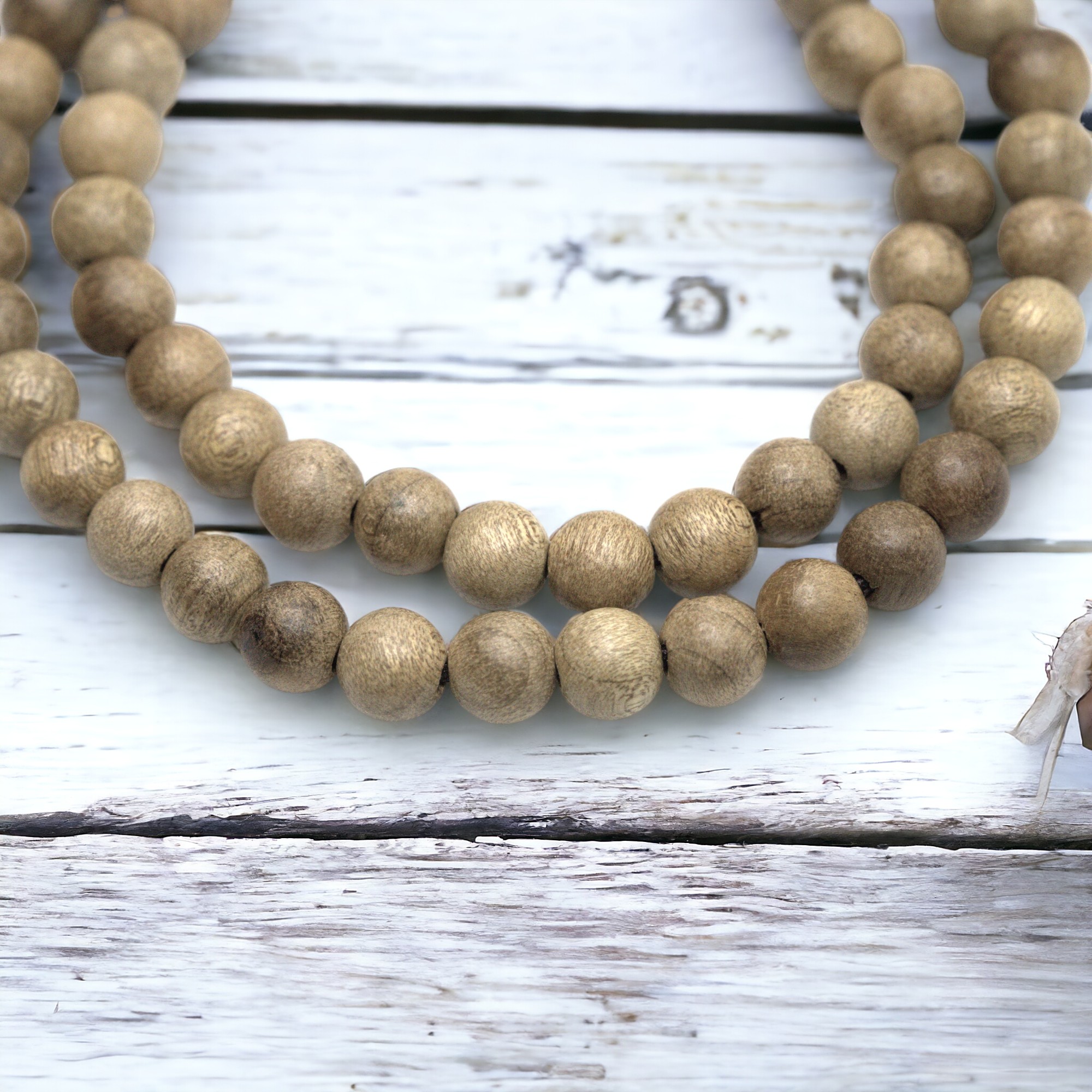 s001026neu3