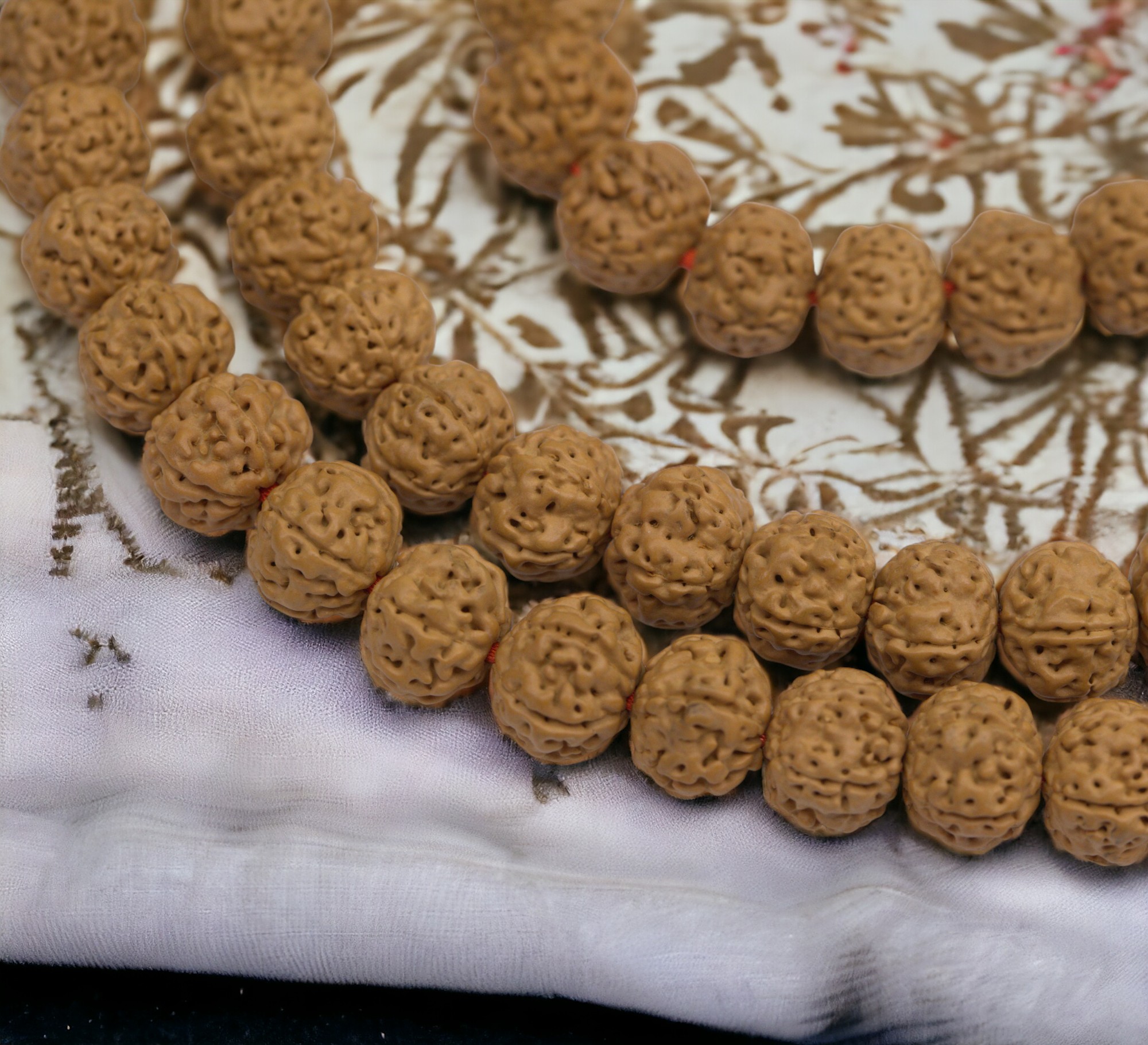 s01101cbneu4